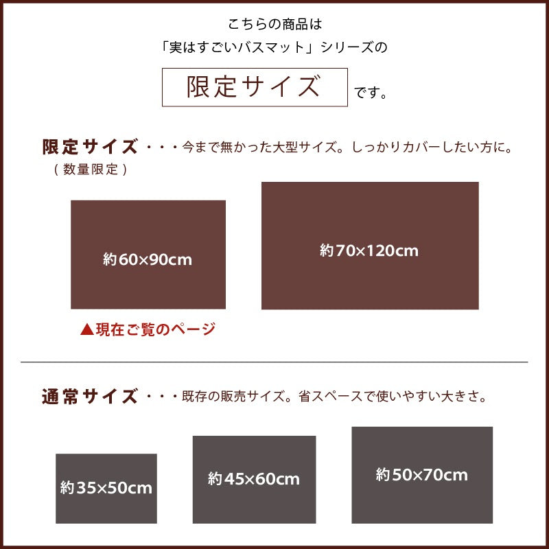 SDS 実はすごいバスマット 約60×90cm ホワイト/ベージュ/グリーン/ブルー/ピンク
