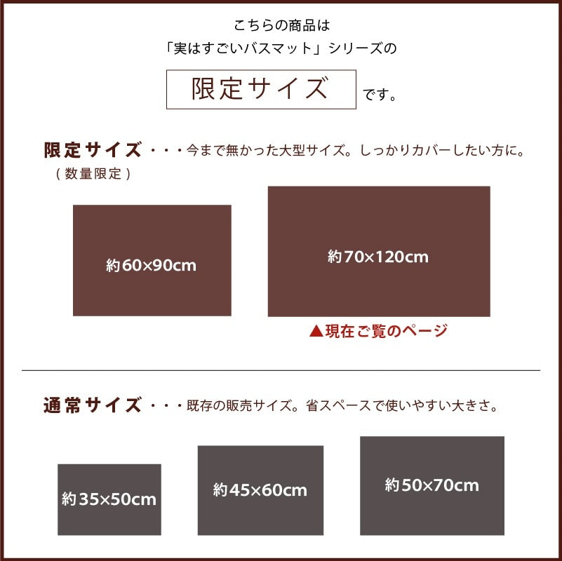 SDS 実はすごいバスマット 約70×120cm ホワイト/ベージュ/グリーン/ブルー/ピンク